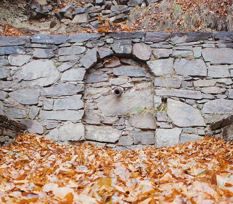 Fountain in Montseny